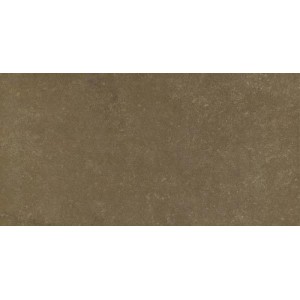 Gạch ốp tường Trường Thịnh MATT STONE GSB03